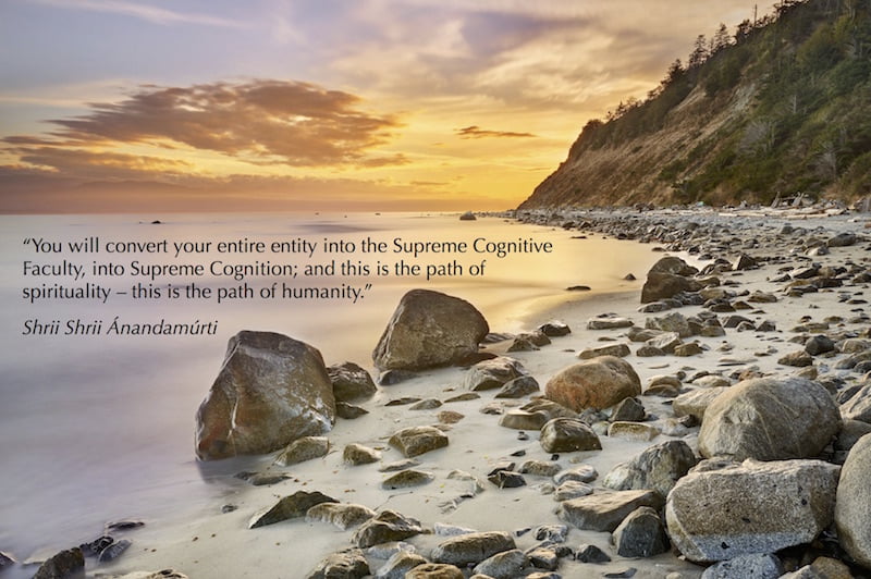 quote13