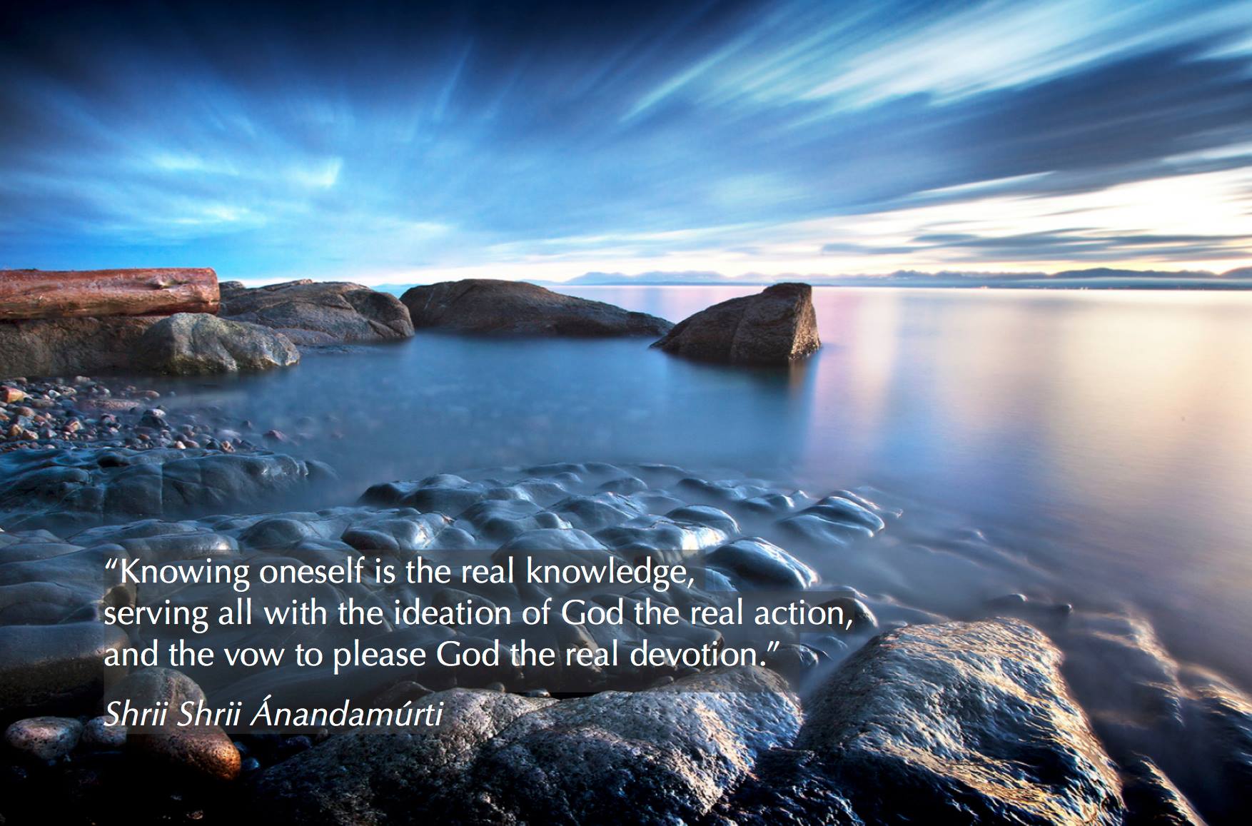 quote4