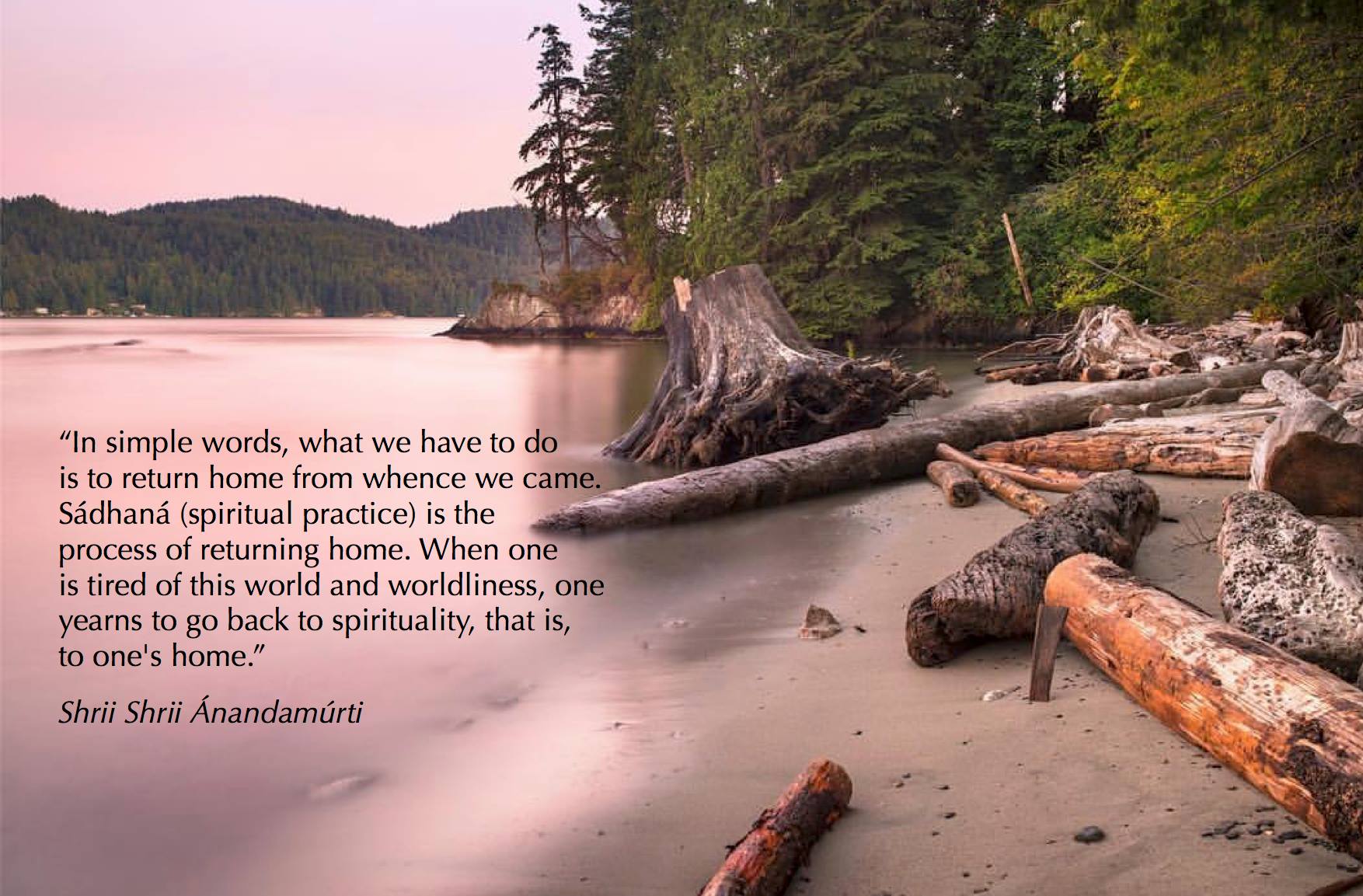 quote7