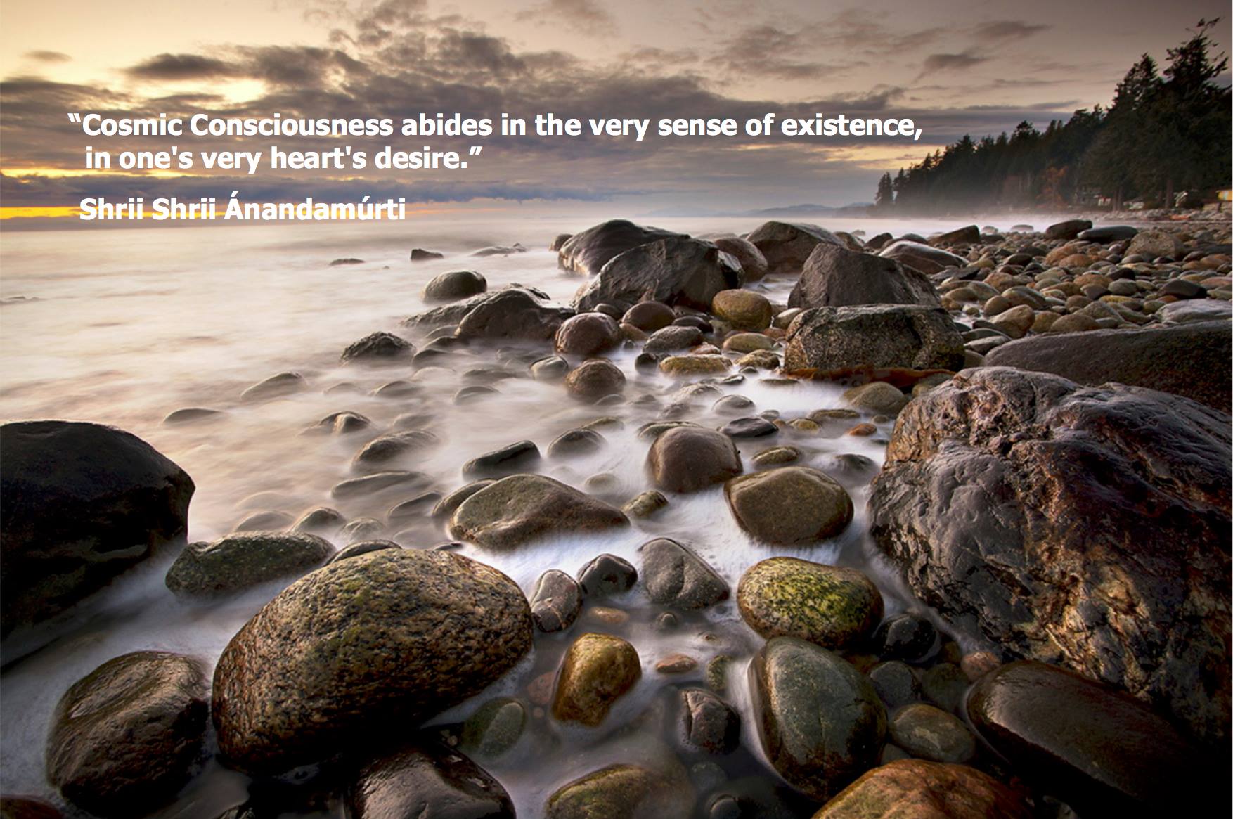 quote8